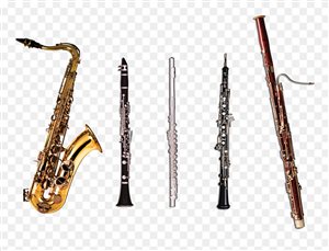 All Saxophones, Clarinets, Flute, Oboe, Bassoon